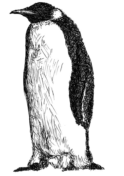 line drawing penguin